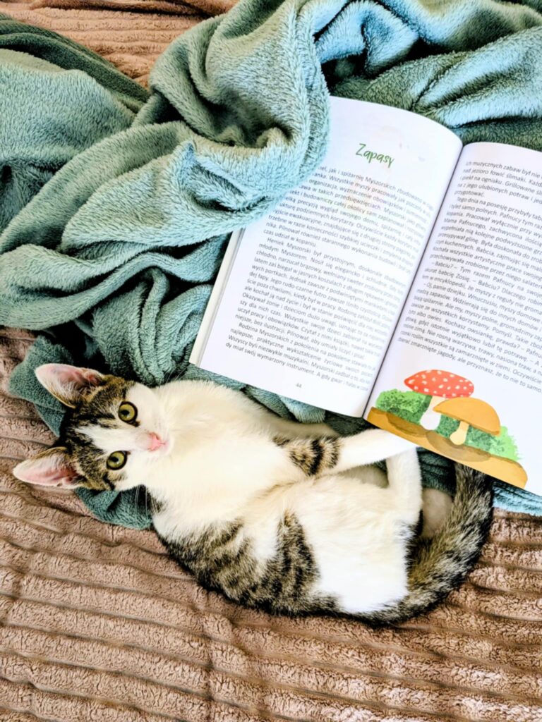 f4c71367 3ee5 497d a1b5 4052ce09f614