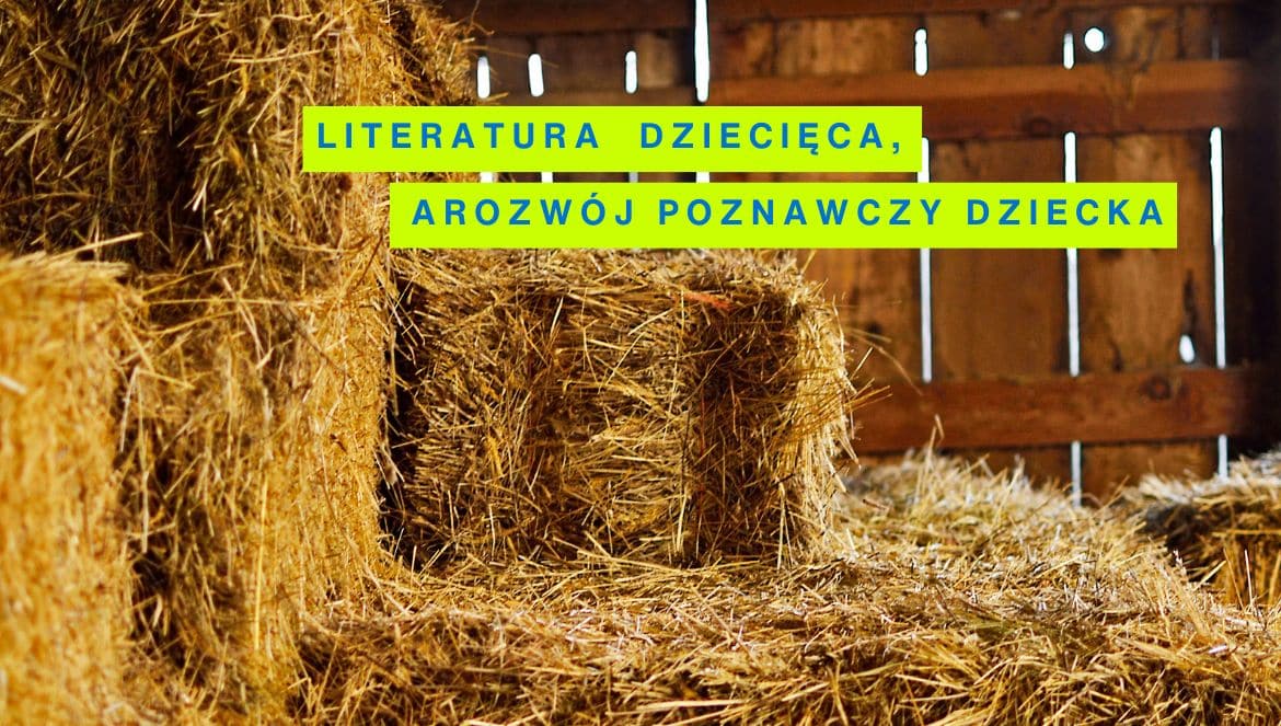 rozwój poznawczy dziecka