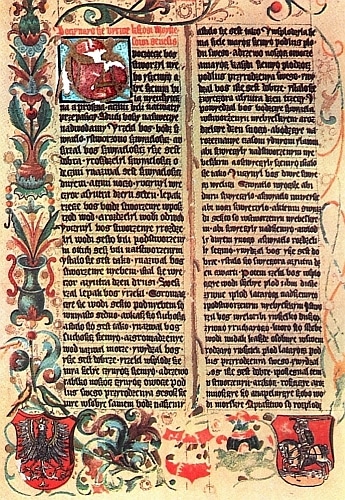 Biblia królowej zofii